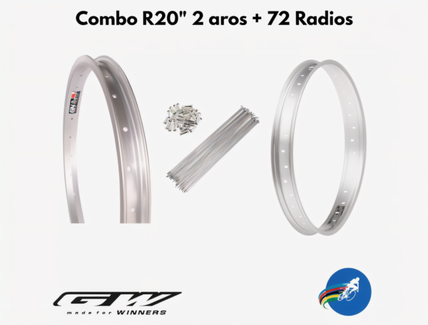 Combo 2 Aros Rines 20"- 36h Doble Pared + 72 Radios