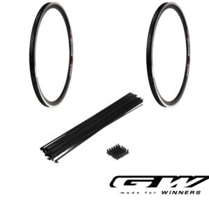 Combo 2 Aros GW M30 PRO Rines 24 36h Doble Pared + 72 Radios