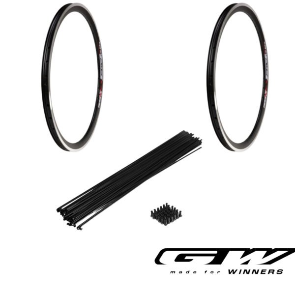 Combo 2 Aros GW M30 PRO Rines 24 36h Doble Pared + 72 Radios